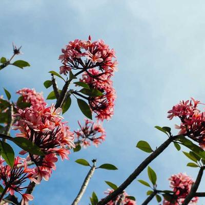 Riverside Park Renovation