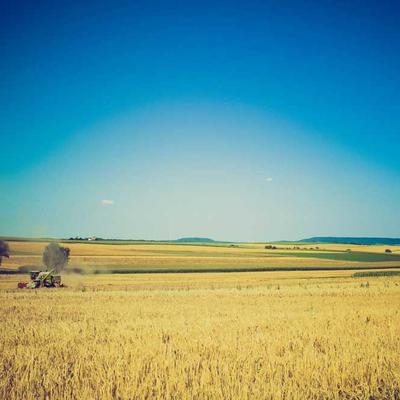 Carbon Offset Calculator